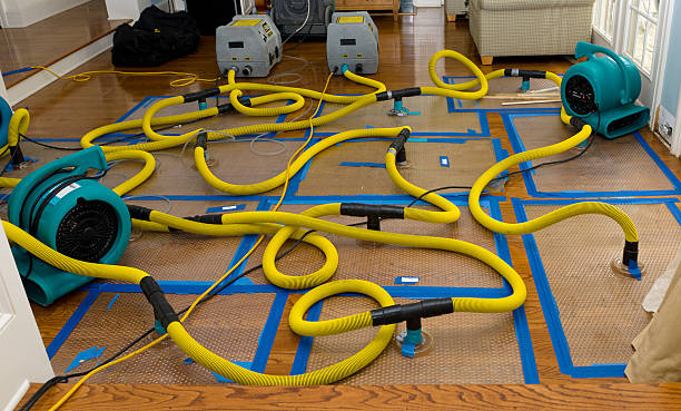 Professional Basement Flood Cleanup technician working in Northfield, NJ
